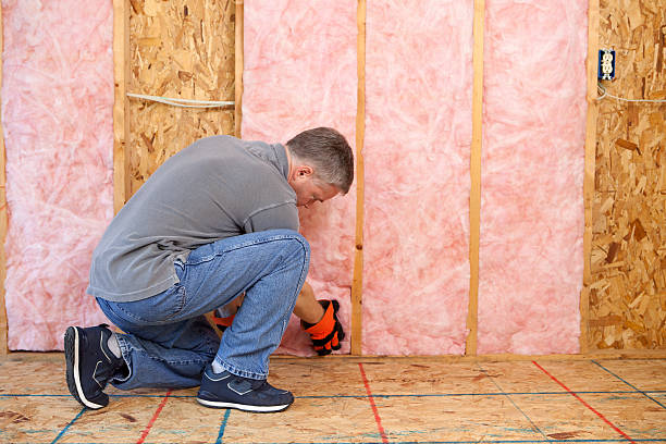 Best Commercial Insulation in Raubsville, PA