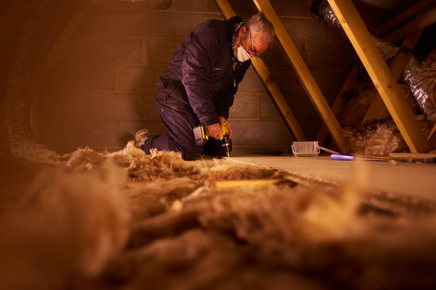 Best Energy Efficiency Solutions in Raubsville, PA